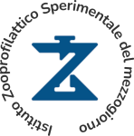 zz1